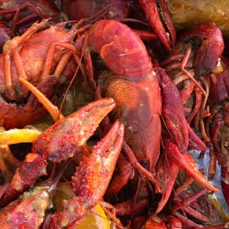 Crave-Worthy Chicken Fingers and Seafood Delights